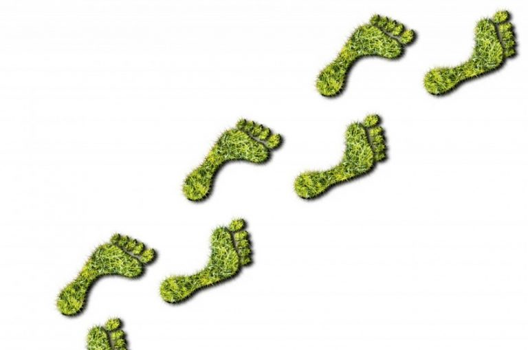 Impronta Ecologica